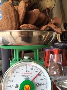 Poudre de champignon Reishi de haute qualité et au meilleur prix - Product Image 3