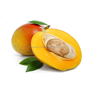 100% Grossiste de beurre de mangue naturel avec et personnaliser le bûche Étiquetage privé Prix du beurre de mangue fournisseur de beurre de mangue - Product Image 5