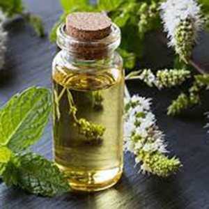 Huile Essentielle de Menthe Poivrée Pure pour la Peau, la Fabrication de Bougies et le Soulagement des Maux de Tête – Huile Essentielle de Menthe Poivrée de Haute Qualité en Gros, Marque Privée - Product Image 2