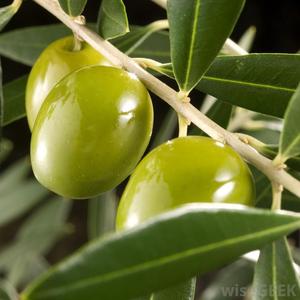 Olives vertes En Vrac - Product Image 2