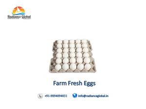 Farm Fresh Chicken Eggs for Sale - Product Image 5