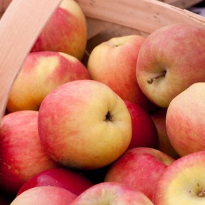 Pomme Fuji rouge, 2021, 14 pièces - Product Image 4
