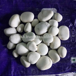 Cailloux et galets de pierre blanche blanche et naturelle de rivière pour l'aménagement paysager et la décoration de jardin - Product Image 2