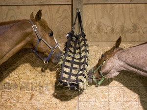 Shemax-bolsas de heno de alimentación lenta, nailon con fondo superresistente - Product Image 6