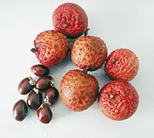 Japanese High Quality Litchi Seed Extract Raw Material Powder Made In Japan For Health Foods And Dietary Supplement