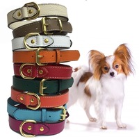 Collier de chien en cuir véritable, produits de luxe pour animaux de compagnie, toutes les couleurs, harnais, laisse, ensemble de sacs à crocs, boucles dorées durables, rembourré et confortable