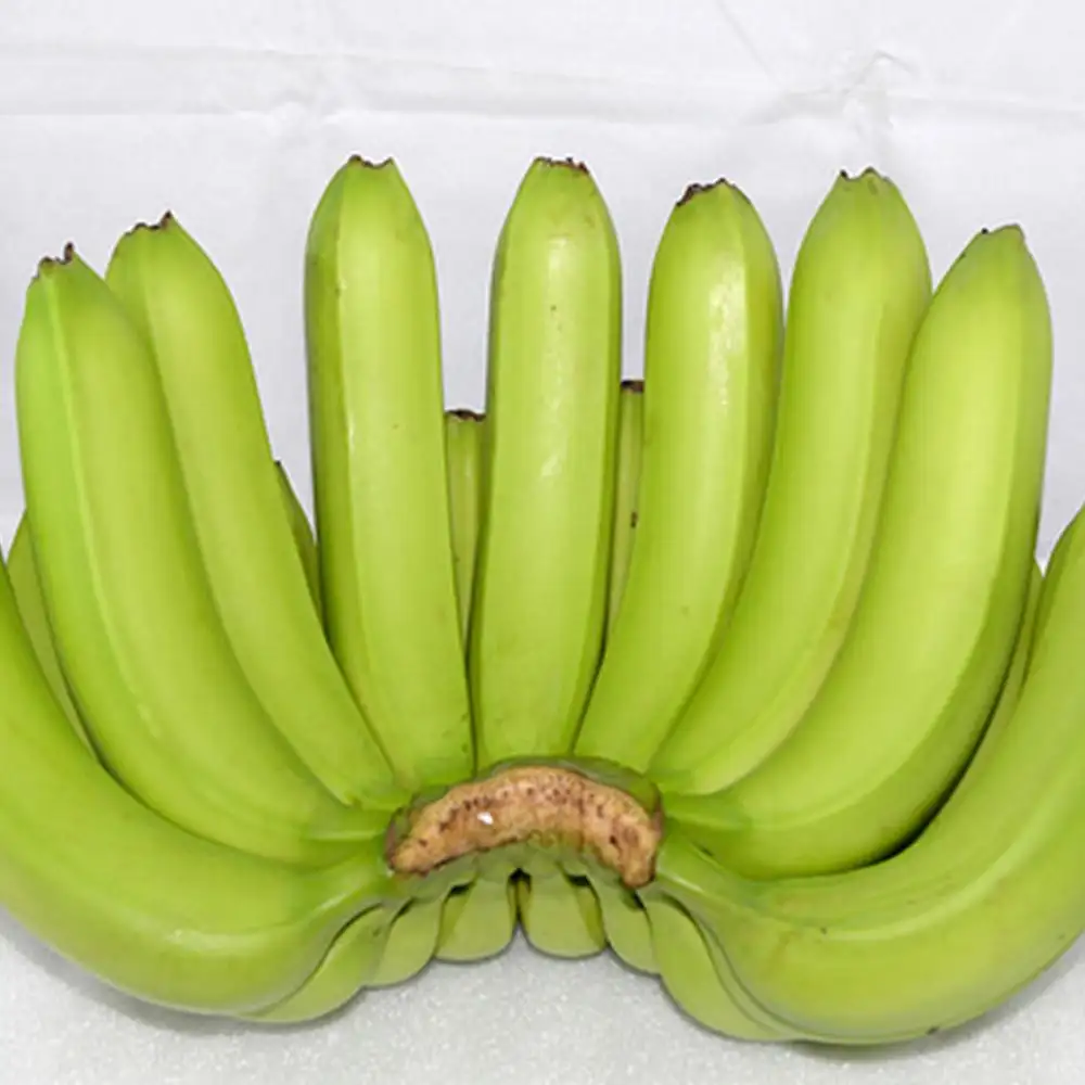 Banane cavendish fraîche