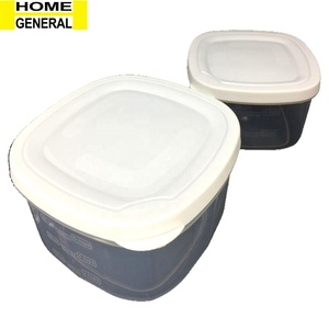 PLASTIC LUNCH BOX