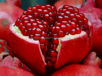 Hoge Kwaliteit Verse Mango, Verse Gouden Geel Mango, Verse Mango Fruit Met Redelijke Prijs