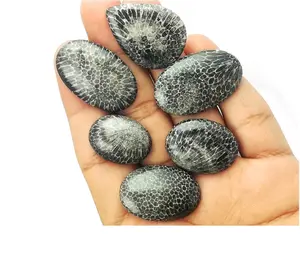 Black Coral Mix Shape and Size Cabochon Gemstone