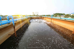 El cultivo biológico respetuoso con el medio ambiente reduce el recuento de organismos patógenos en el tratamiento de aguas residuales - Product Image 5