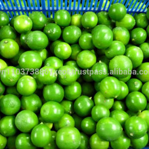 Limones preservados con sal, precio más barato y de alta calidad - Product Image 3