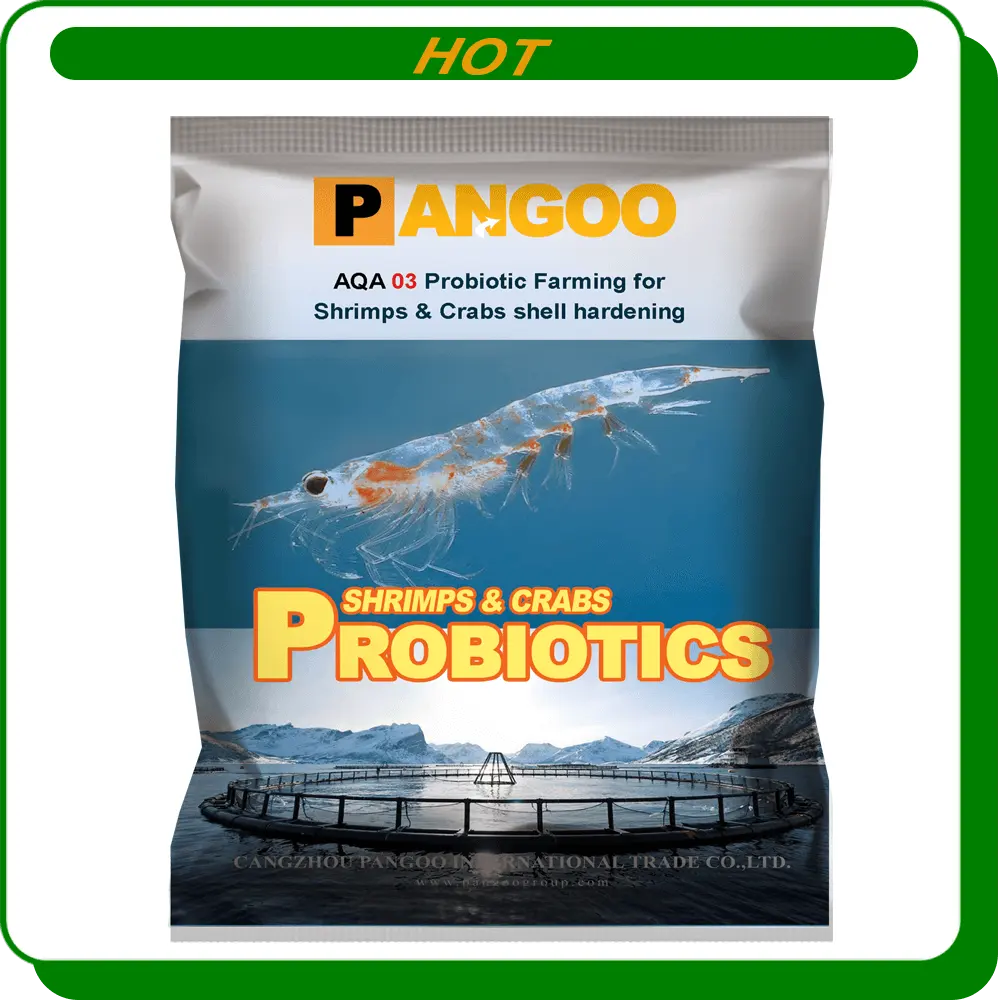 Probiotiques crevettes et poissons Pediococcus Acidilactici pour Étang utilisation bactéries