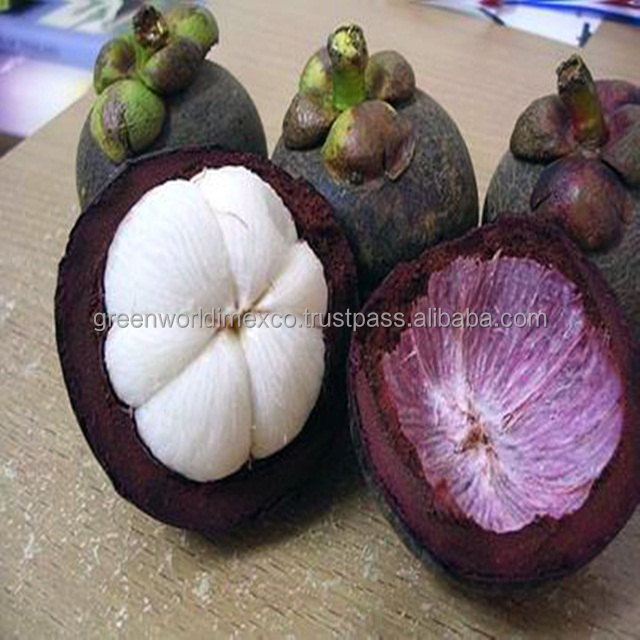 MANGOSTEEN-고품질 최고 특별한 가격