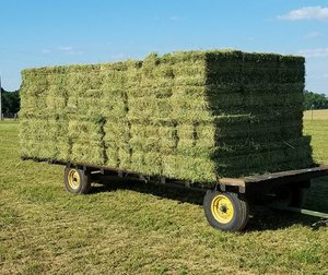 หญ้าอัลฟัลฟาอัดก้อน 250 กก. เกรดดี ความชื้น 10% สำหรับวัว ม้า และสุกร - Product Image 3