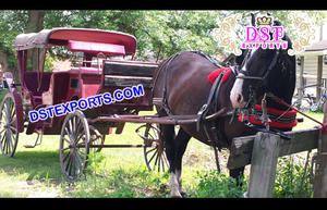 Carruajes de caballos Victoria australianos a la venta Boda India Royal Victoria Buggy Fabricante Carruajes de caballos Tours - Product Image 4