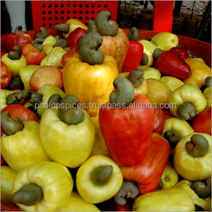 2025 Anacardos de Vietnam Mejor calidad MOQ Cantidad a granel para exportación al por mayor - Product Image 4