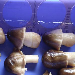 เห็ดฟางกระป๋องรสชาติดีที่สุดจากเวียดนาม - Product Image 3