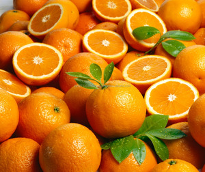 Naranjas Mandarinas Frescas de Primera Calidad con Certificación ISO - Product Image 5