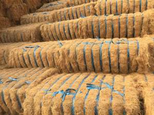 Brown Coconut <b>Fiber</b>/Coconut Coir <b>Fiber</b> -Cheap and Quality - Product Image 5