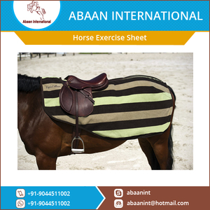Fabricante Mayorista de Mantas de Ejercicio para Caballos de Alta Calidad Modelo AIES-003 Primavera y Otoño - Product Image 4