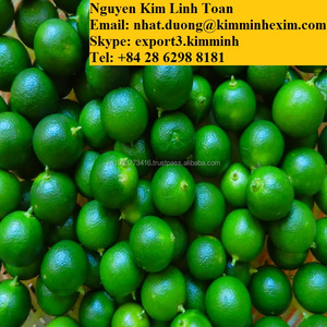 Fruta Fresca de Calamansi, Cítrico con Sabor Refrescante - Product Image 3