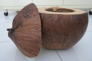 Utensilio de cocina ecológico, madera de coco de Vietnam - Product Image 5