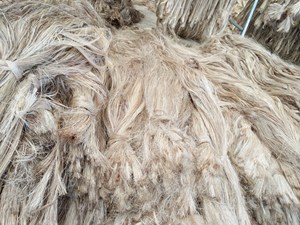 Hilo de cáñamo de abaca de grado I, fibra natural sin procesar para abaca, material de pulpa de papel hecho a mano - Product Image 6
