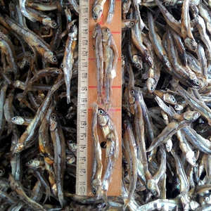 Pescado de anchoa seco sin cabeza, 100% orgánico - Product Image 4