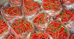 VIETNAM FROZEN CHILLI Vacaciones 2023 - Product Image 3