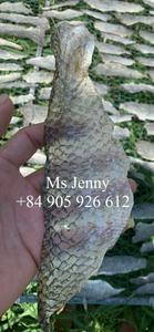 หนังปลานิลแห้ง/หนังปลาดุก/ผิวปลาสวาย - Product Image 4