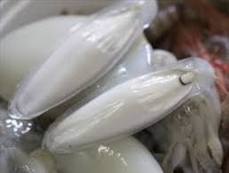 Bolsa de harina de hueso de sepia seca, alta calidad, certificado ISO, 2022 - Product Image 5