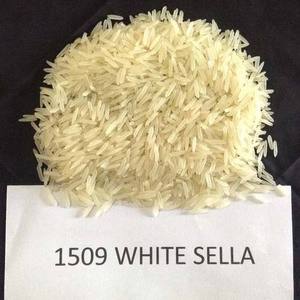 Riz Basmati Golden Sella Premium 1509, riz indien à grains extra longs, riz étuvé pour l'exportation en gros et la fourniture en vrac - Product Image 4