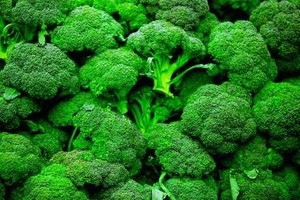 Brócoli Verde Congelado IQF Premium de Vietnam |   Cosecha Fresca |   Suministro para Exportación a Granel - Product Image 6