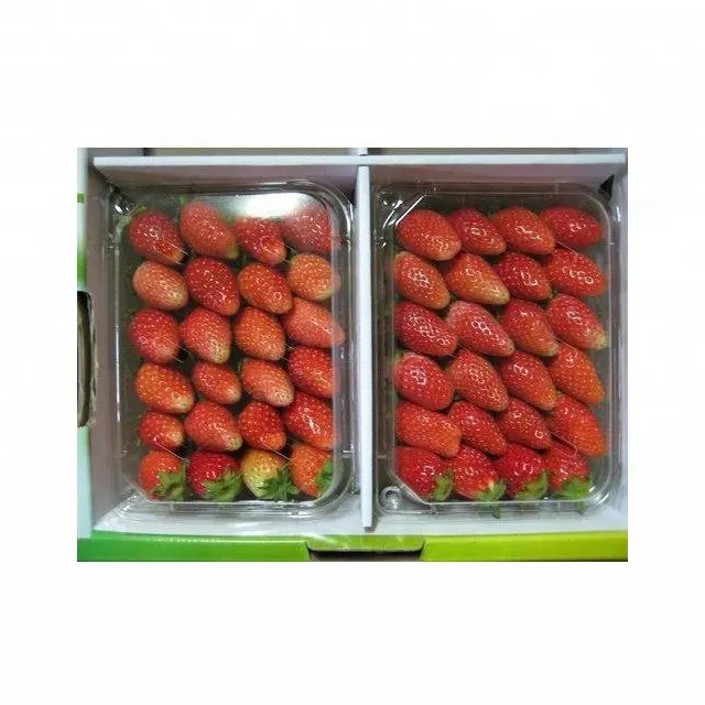 Frische Erdbeere/Indische Erdbeere/Export qualität Erdbeere