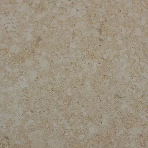 Bubble Limestone