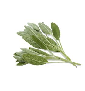 Hydrolat de Sauge Sclarée 100% Pur (Eau Florale) Distillé à la Vapeur à partir de Fleurs Fraîches, Certifié BPF, Origine Chine, Incolore - Product Image 4
