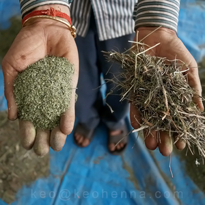 Ayurveda Medicinal Herbal indio, preparación de Henna marrón, colores en forma de polvo - Product Image 2