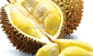 Enduri frais de haute qualité, Ms, vacances - Product Image 4