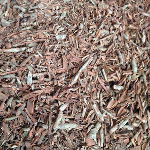 ผงจoss สำหรับธูปคุณภาพสูง ผลิตในเวียดนาม ขนาดตามสั่ง ราคาถูกมาก // ชิน ทราน - Product Image 6