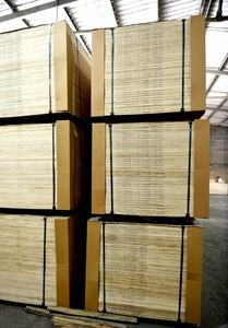 Contrachapado comercial de acacia de Vietnam - Product Image 4