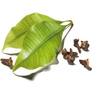 Huile de feuille de clou de girofle distillée à la vapeur d'Indonésie, huile essentielle en vrac de qualité supérieure - Product Image 2