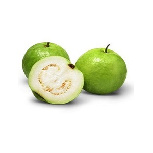 Exportadores y Proveedores Globales de Aceite Portador de Semillas de Guayaba Premium Prensado en Frío con Certificación GMP - Product Image 4
