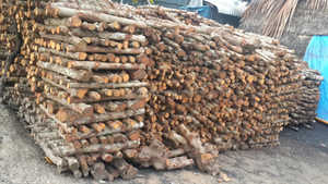 Carbón para Barbacoa de Vietnam |   MADERA DURA DE MANGROVE DE PRIMERA CALIDAD |   ALTA TEMPERATURA |   LISTO PARA CARGAR +84 973 101 511 - Product Image 5