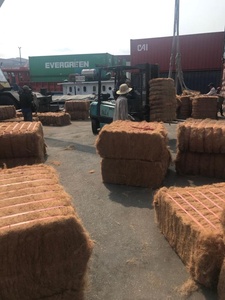 Pièce de monnaie américaine, fibre de coco vietnamien pour les ventes de 2019 - Product Image 5