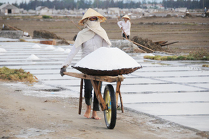 Sal marina artificial a granel, de Vietnam - Product Image 5