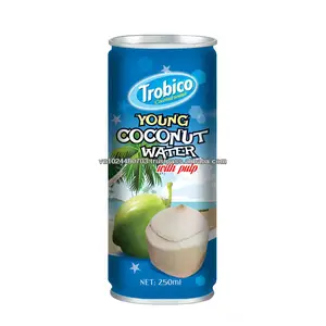 Vietnam Manufacturer 250ml Canned Young Coconut Water