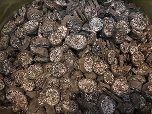 LA MEILLEURE BANANE SAUVAGE MUSA ACUMINATA PAS CHÈRE DU VIETNAM - Product Image 4