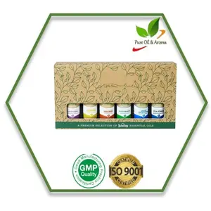 Set Hadiah Minyak Esensial 100% Minyak Esensial Alami-10 Ml Set Hadiah Aromaterapi 6 Minyak Murni/10 Ml Label Pribadi