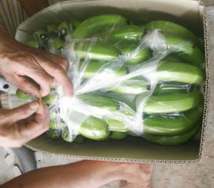 Banane japonaise fraîche en coton, péruviens - Product Image 3